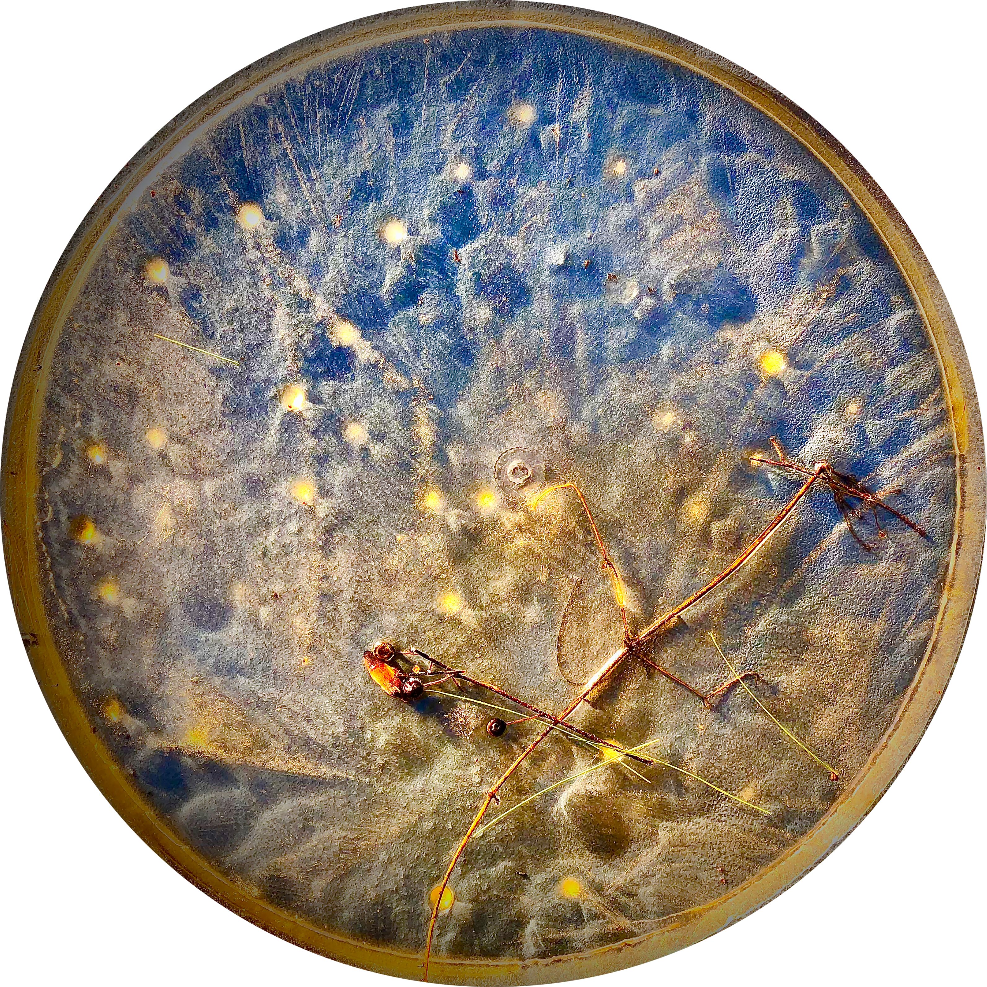 Dinner Plate With Abstract Design
