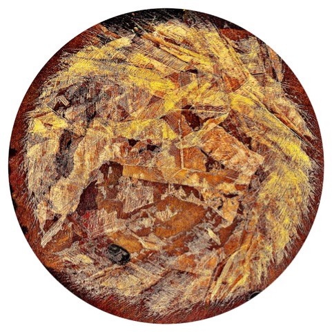 Dinner Plate With Dry Leaves Design