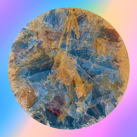 Dinner Plate With Earth Design